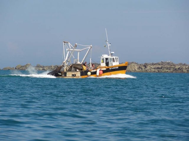 Sortie en mer